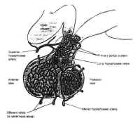 fig06 small