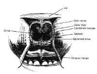 fig13 small