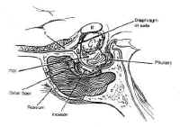 fig14 small